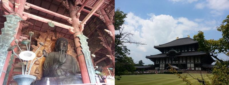 giorno 14 todaiji.JPG